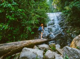 Exploring Florida’s Natural Beauty Must-Visit Hiking Trails