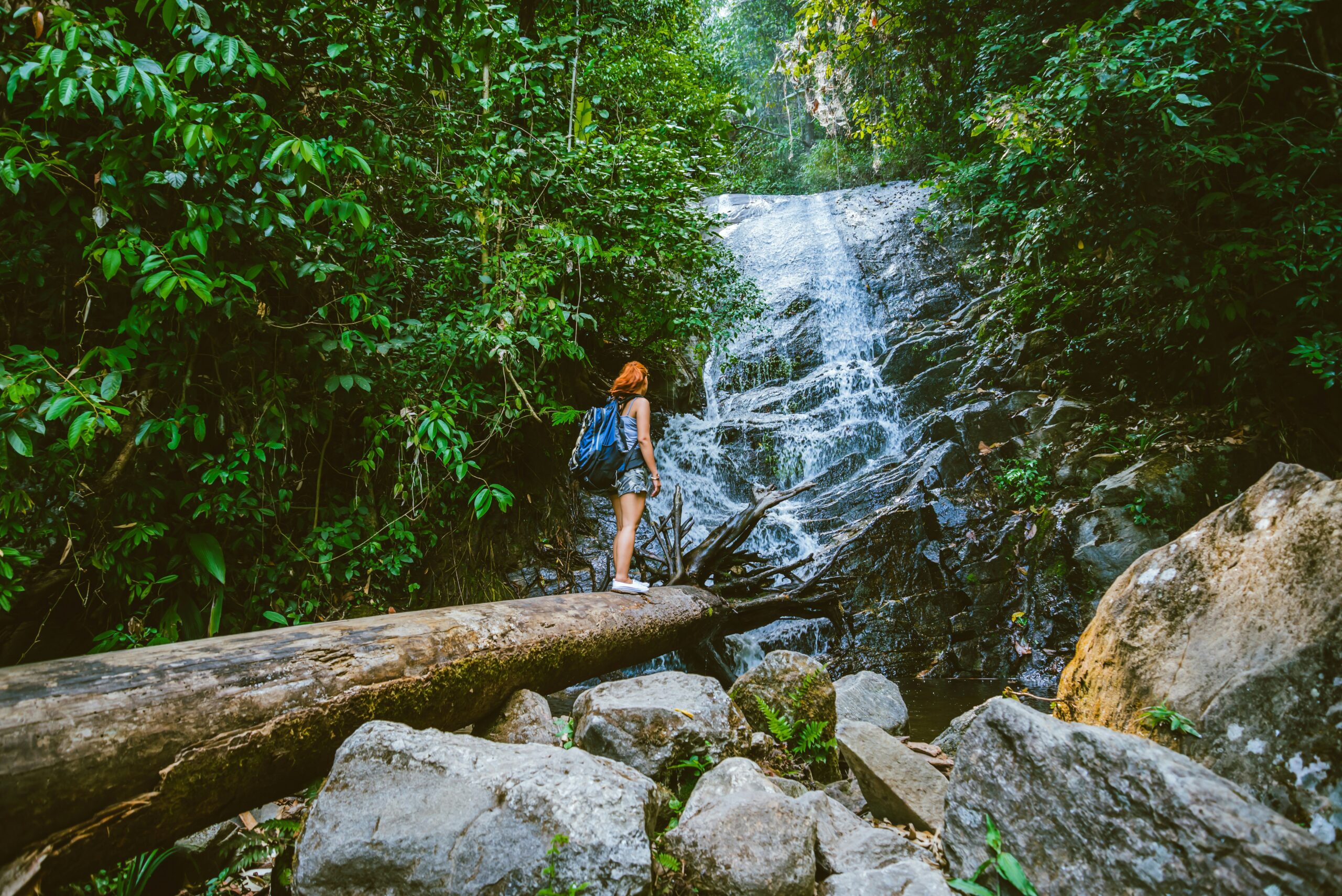 Exploring Florida’s Natural Beauty Must-Visit Hiking Trails