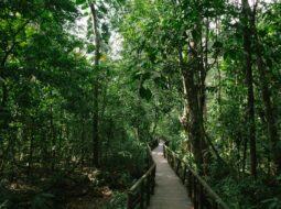 Exploring Florida's National Parks A Hiker's Dream