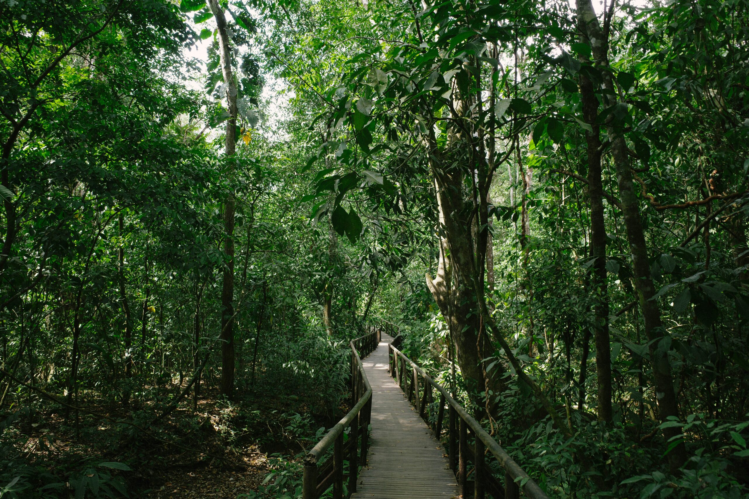 Exploring Florida's National Parks A Hiker's Dream